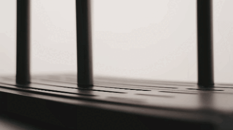 13.gif