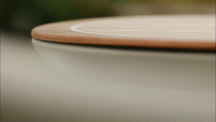 790_18.gif