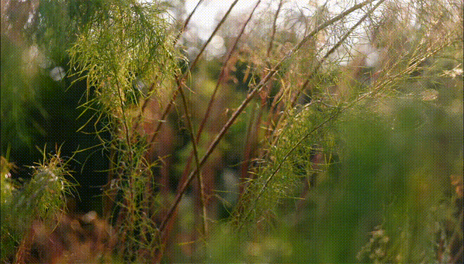 790_03.gif